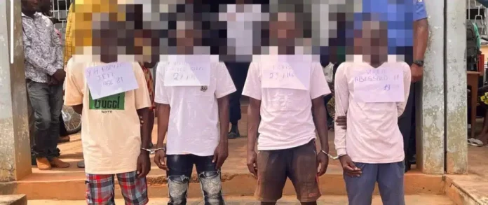 Quatre malfaiteurs spécialisés dans le vol de véhicules appréhendés à Yaoundé