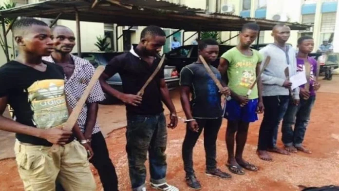 La ville de Yaoundé en proie à la terreur des « microbes »