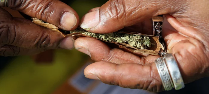 Le Haschich : la nouvelle forme de drogue des jeunes