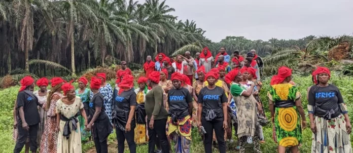 Contestation : La Socapalm pris d’assaut par les femmes