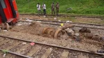 Un homme est mort  écrasé par un train