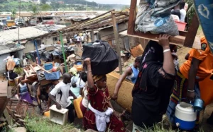 Populations de Mokolo