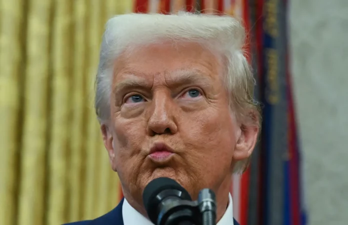 Les droits de douane réciproques, nouveau cheval de bataille de Donald Trump