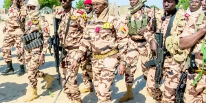 Coordination militaire et défis dans la région du lac Tchad
