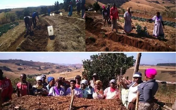 Afrique du Sud: réforme agraire tardive née sur les « cendres de la dépossession »