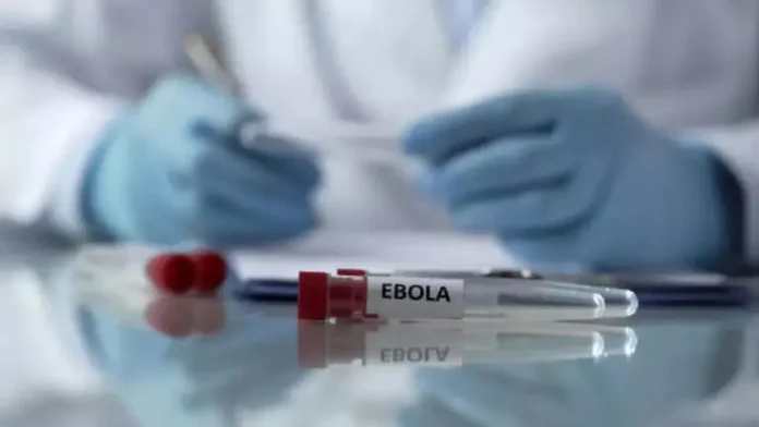 Ebola: la guérison d’un singe grâce à un traitement suscite des espoirs, selon une étude