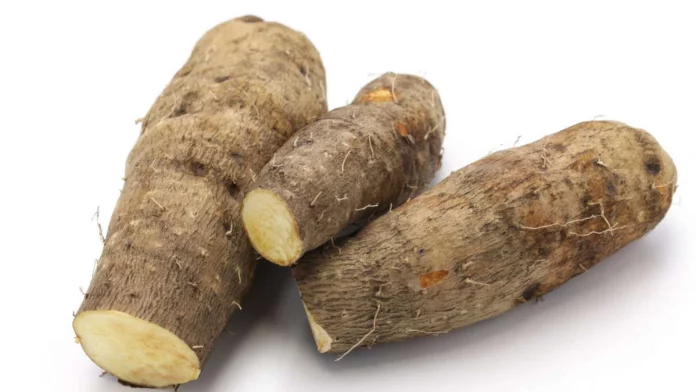 Drame à Bafoussam : Des morceaux d’igname tuent 3 personnes