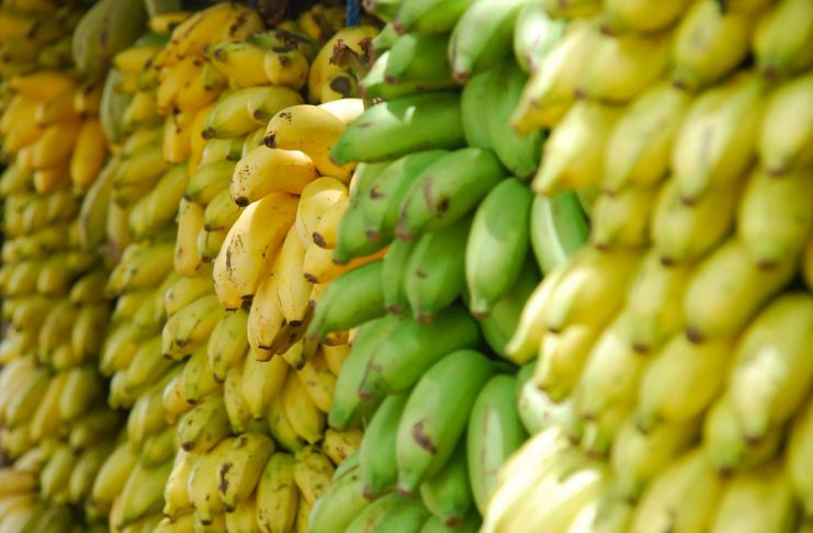 banane hausse