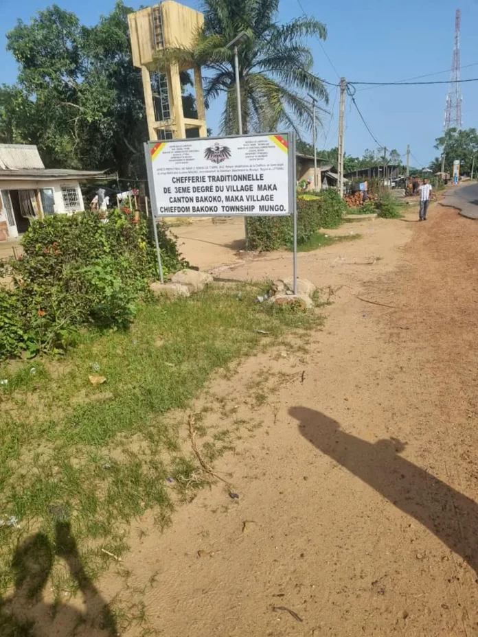 Bomono-ba-Mbenguè 2 : Un forage pour rien..