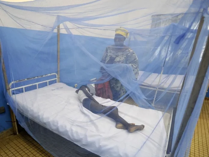 Contre le paludisme : Beaucoup de moustiquaires au Cameroun