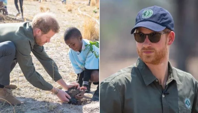 Accusée de viol et torture au Congo, l’ONG African Parks reconnaît « des violations des droits humains »