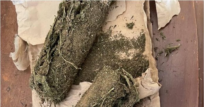 Douala : Fin de parcours pour un réseau de trafiquants de cannabis