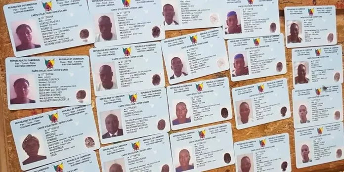 Distribution des cartes d’électeurs : Le Wouri mauvais élève