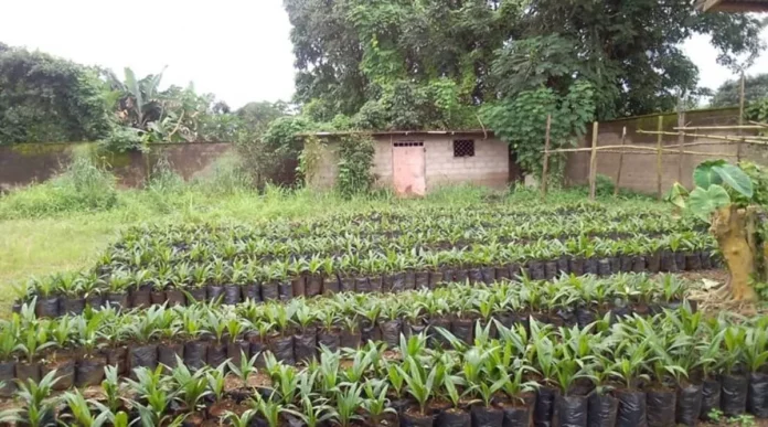 Malversations financières : Des fonds éparpillés au Pdcva