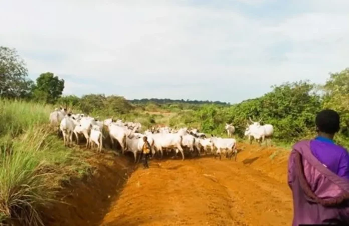 Nord-Ouest : L’insécurité persiste