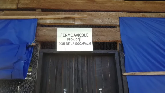 Village Mbonjo: La Socapalm a menti !!!