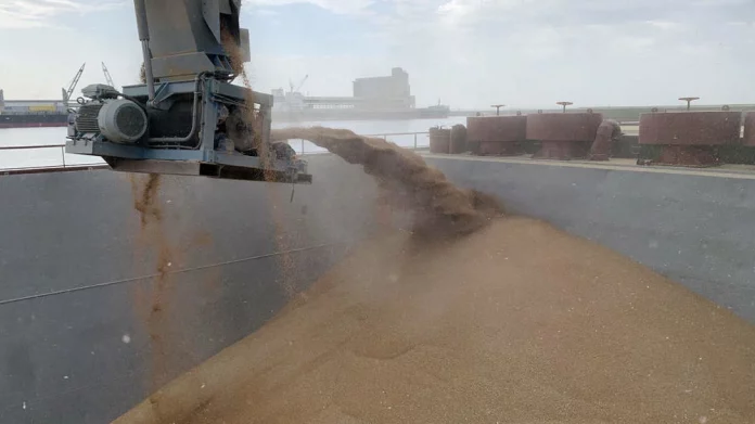 Les prix mondiaux du blé s’essoufflent avant les récoltes