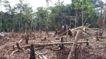 secteur foncier Cameroun