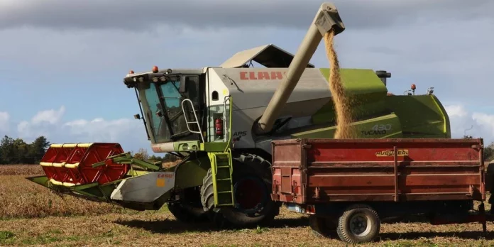 Climat: même si l’agriculture s’adapte, les rendements de blé, riz ou maïs vont chuter, selon une étude