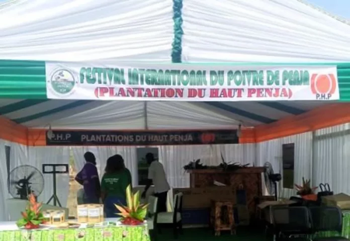 Poivre de Penja : Le festival international est lancé