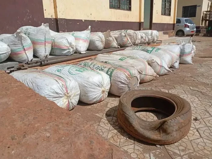 Région de l’Ouest : 2,4 tonnes de cannabis saisies