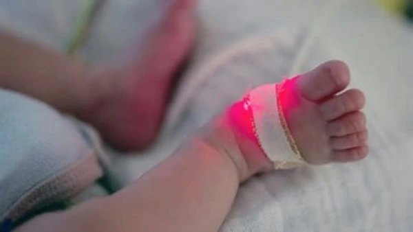 Des recherches sur l’embryon trop restreintes ? Une avancée scientique majeure interpelle