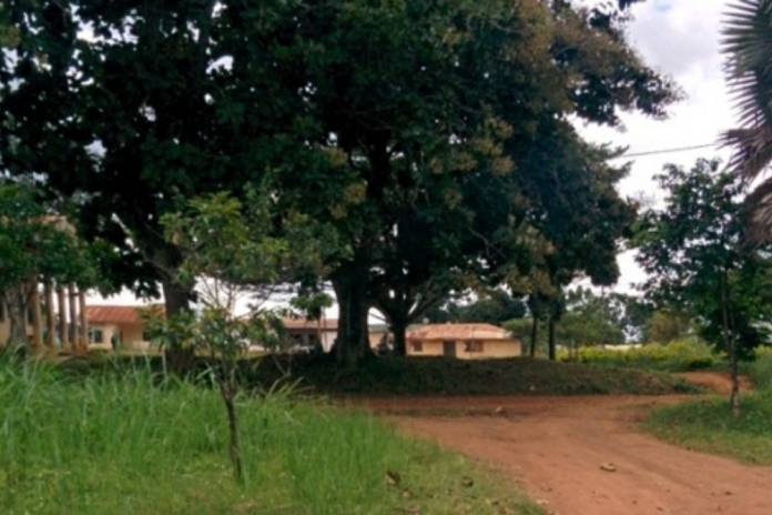 Centre : Un chef agresse son frère à la machette à cause du terrain