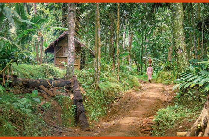 Sud : Un père et son fils retrouvés morts à Nyabizan