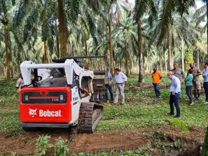 Travaux de replanting : Vives tensions à Mbambou