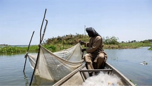 Sur les rives du lac Tchad, une jeunesse abandonnée, forcée à l’exil