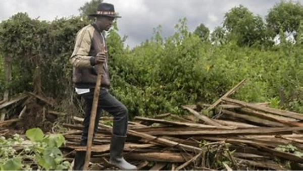 Au Kenya, des chasseurs-cueilleurs expulsés de leurs forêts ancestrales