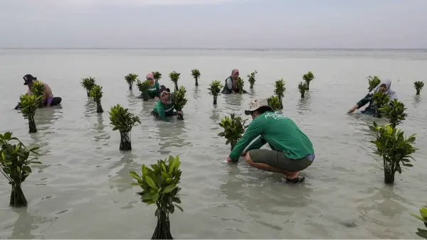 Justice climatique: des îliens indonésiens contre le cimentier suisse Holcim