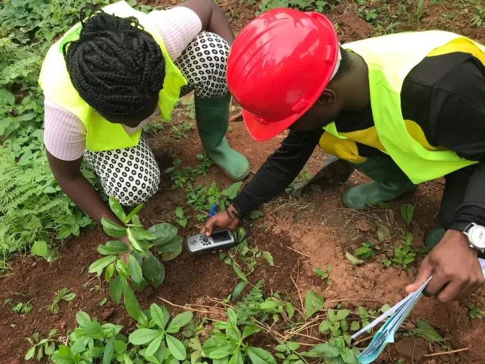 Agroforesterie : Des femmes rurales renforcent leur autonomie