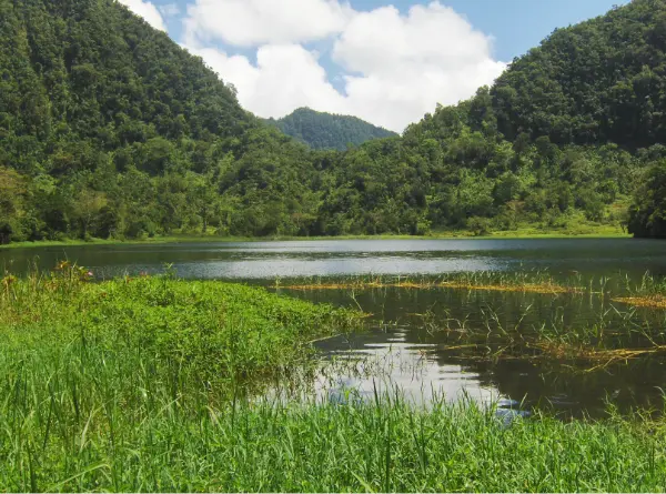 A Anjouan, aux Comores, un sursaut pour sauver la forêt en perdition