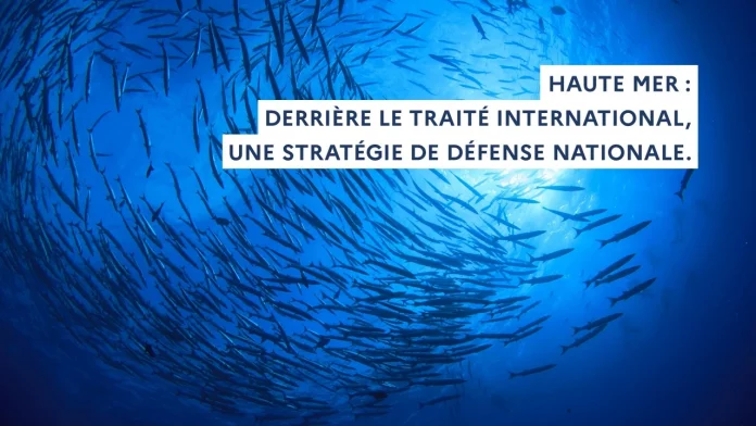 Qu’est-ce que le traité pour protéger la haute mer ?