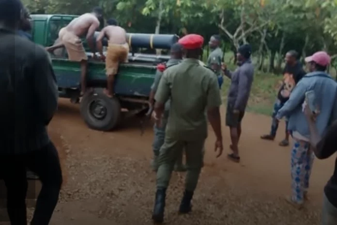 Obala : Des voleurs de cacao pris la main dans le sac