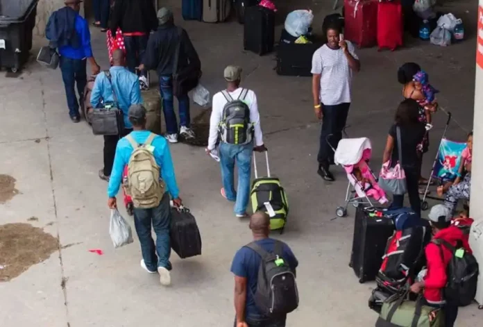 A l’ombre de la présidentielle au Cameroun, le juteux business de la fuite des cerveaux