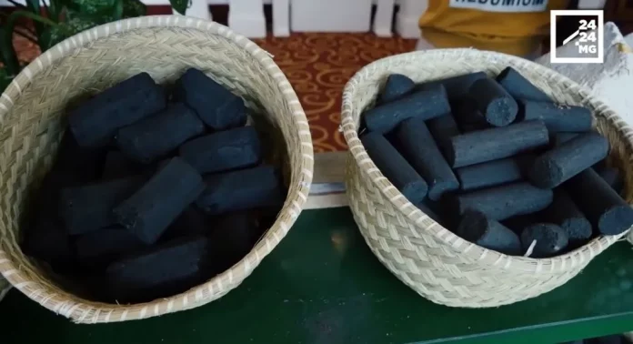 Biocombustibles : Le Cameroun veut inciter les investisseurs