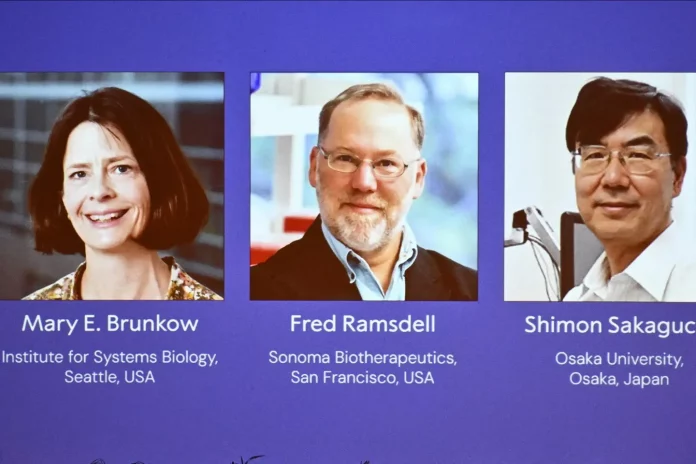 Le Nobel de médecine récompense la découverte des « gardiens du système immunitaire »