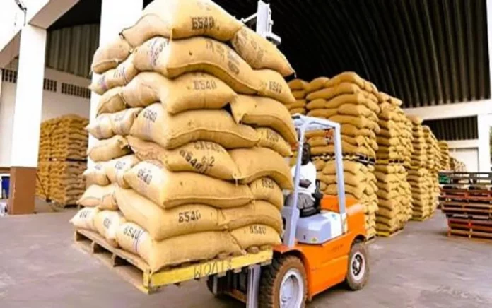 Cacao au Cameroun : 3 000 Fcfa/ kg de fèves