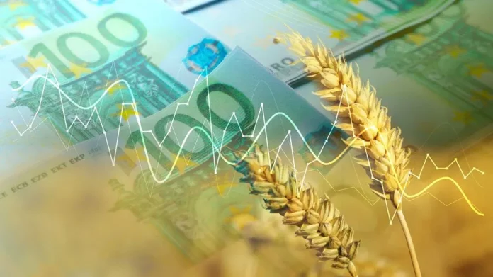 Prix mondiaux des céréales : entre abondance australe et tensions géopolitiques