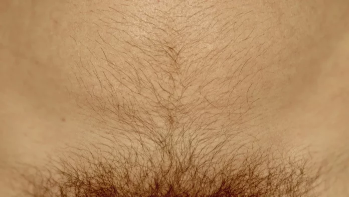Poils pubiens : La mode est au rasage… Pourtant !!!