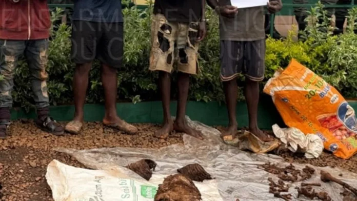 Trafic d’ossements humains : Un phénomène qui inquiète