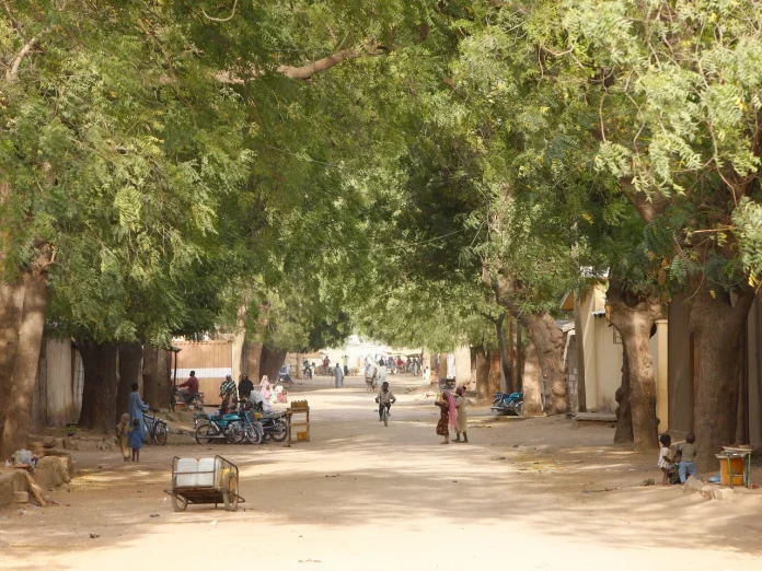 Maroua : Peur et arrestations après la présidentielle