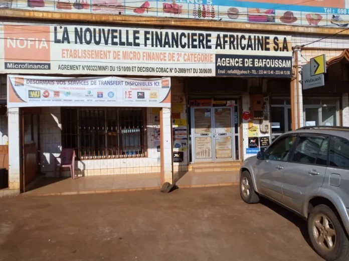Microfinance : Le secteur en zone de turbulence
