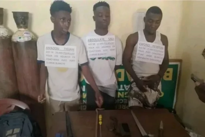 Obala : Trois individus arrêtés pour vols et agressions