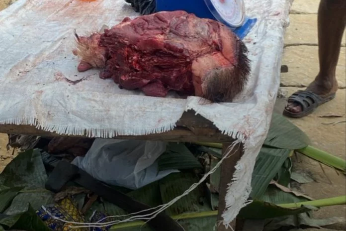 Fête de Noël : La viande de porc en vedette sur les tables