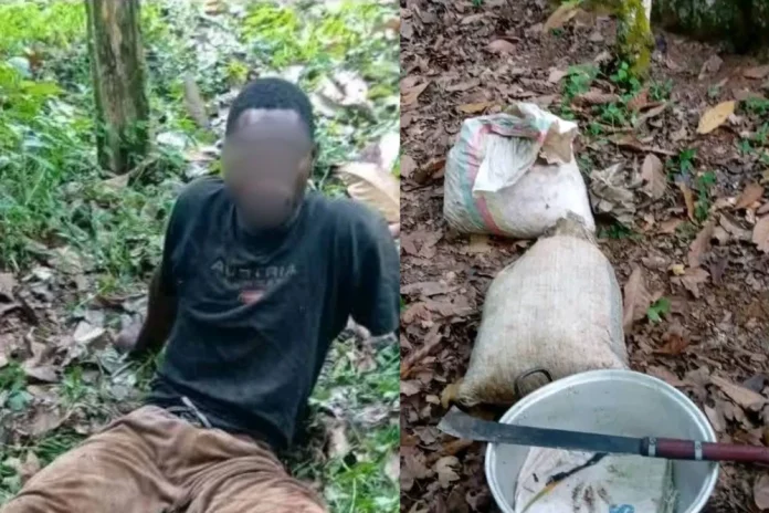 Ntui : Un voleur de cacao arrêté après avoir été blessé par balle