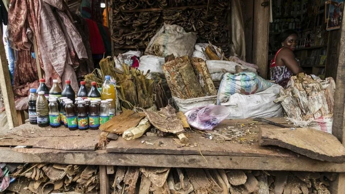Médecine traditionnelle : Le Cameroun pour une intégration responsable