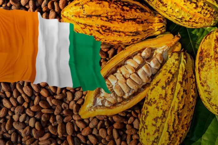 Côte d’Ivoire : La filière cacao paralysée